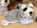   - Four Paw Schnauzer Fuzzy Town Dog Magnet