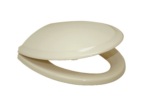 TOTO SS224-03 Guinevere SoftClose Elongated Toilet Seat, Bone