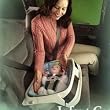 Premature Baby Infant Car Seat/Bed
