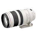 Canon EF 100-400mm f4.5-5.6L IS USM Telephoto Zoom Lens for Canon SLR Cameras