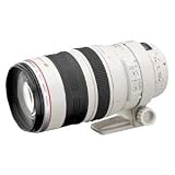 Canon EF 100-400mm f4.5-5.6L IS USM Telephoto Zoom Lens for Canon SLR Cameras