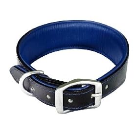 Leather Greyhound Collar Padded Blue/Black 11-14"