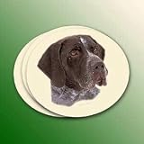 NEW! Neoprene German ShortHaired Coasters Set of 4