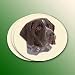   - NEW! Neoprene German ShortHaired Coasters Set of 4