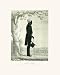 Andrew Jackson Art Print Poster By Brown, 16 
