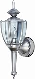Designers Edge L-2553 PAW 16-Inch Dual Eye Motion-Activated Outdoor One-Light Upward Wall Sconce, Pewter with Beveled Glass