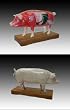 Acupuncture Pig Model