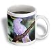 sulphur-crested cockatoo, cacatua galerita, rainforest.Queensland, Australia. - 15oz Mug