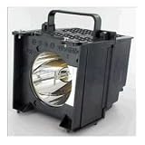 TOSHIBA OEM 75007110T Y-66 LAMP V32A000010