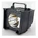 TOSHIBA OEM 75007110T Y-66 LAMP V32A000010