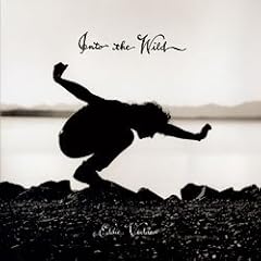 Eddie Vedder Into the Wild 