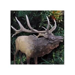 Hunter Dan Bull Elk by 