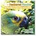 Feathered Phonics The Easy Way To Teach Your Bird To Speak Volume 1: 96 Words and Phrases