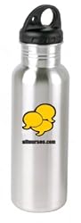 Stainless Steel Water Bottle