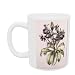 Helleborus Orientalis from Helen Ballard (dark purple flowers) by Alison Cooper - Mug - Standard Size