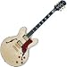 Epiphone Sheraton II Electric Guitar, Natural