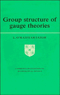 Group Structure of Gauge Theories (Cambridge Monographs on Mathematical Physics)