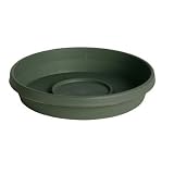 Terra Tray - Green 14