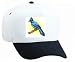 White Cap with blue, jay, jaybird, bird Image
