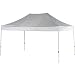 Swiss Gear Smart Shade Canopy with Carry Duffel (10-feet by 15-feet by 100-Inches)