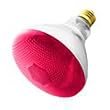 Havells-SLI 03044 - 100BR38/RED - 100 Watt BR38 Red Incandescent Flood Light Bulb