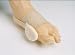 Adjustable Bunion DaySplint Large Left