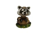 Mini Bobble Head Raccoon