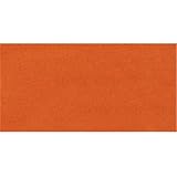 Jacquard Acid Dyes burnt orange