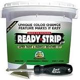 Tools & Hardware : Ready Strip Plus Paint and Varnish Remover Kit
