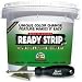 Tools & Hardware : Ready Strip Plus Paint and Varnish Remover Kit