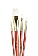 Princeton Brush Set W Taklon Wash 3/4, Shader 4,8 Round 2