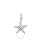 Silver STAR FISH CHARM sea Pendant Bracelet