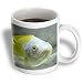 Kike Calvo Animals - Picturing fish in the biggest river aquarium in Europe - Mugs