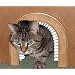 Cat Hole Pet Door