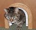 Cat Hole Pet Door
