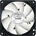 Bild: ARCTIC-COOLING F8 PWM 80x80 (94124.12)