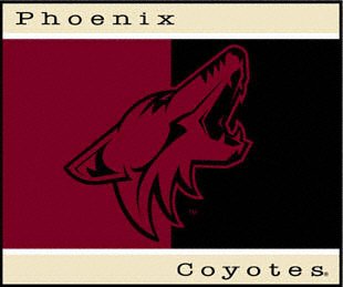 Buy Phoenix Coyotes 60x50 Team Throw by Biederlack