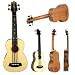 Kala U-Bass Spruce Top (Fretted)