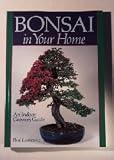 Bonsai Boy