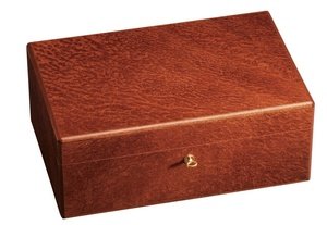 Childrens Toyshop  Kitchen & Housewares : Humidor Griffin's Large Vavona