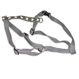 Dog Harness
