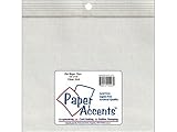 Paper Accents Zip Bag 13x 13 10pc 2mil Clear