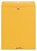 Columbian(R) Kraft Clasp #110 Envelopes, 12in. x 15 1/2in., 32 Lb., Brown Kraft, Box Of 100