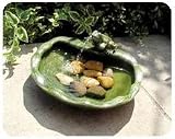 Review Smart Solar  / Glazed green frog fountain