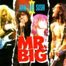 Mr. Big - Raw Like Sushi II - Zortam Music