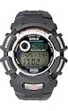 Casio G2310-1V Casio Solar, 30PAGE Databank