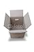 Wallmonkeys Peel and Stick Wall Decals - Carton - 36