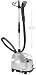 1450 Watts Professional Garment Steamer FREE SHIPPING