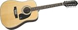 Epiphone