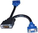 Matrox LFH60 to HD15 Dual-Monitor Cable Adapter - 60-pin LFH to 2 x 15-pin D-Sub (HD-15) - 1ft